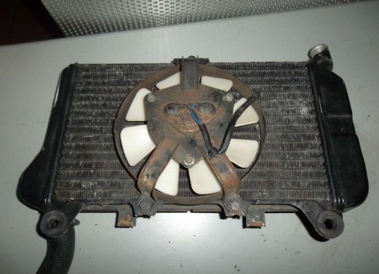 Kuhler Kawasaki ZZR 600