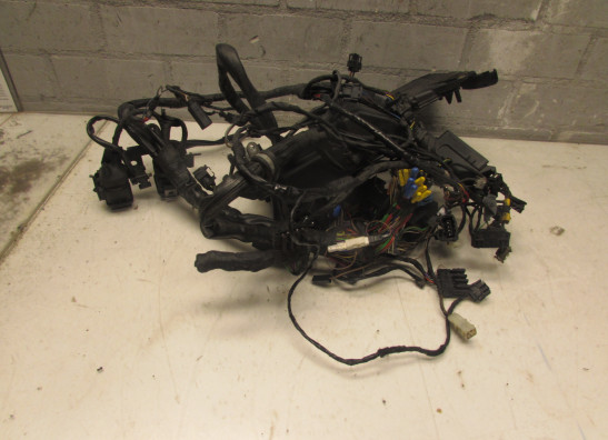 Kabelboom BMW K 1200 RS