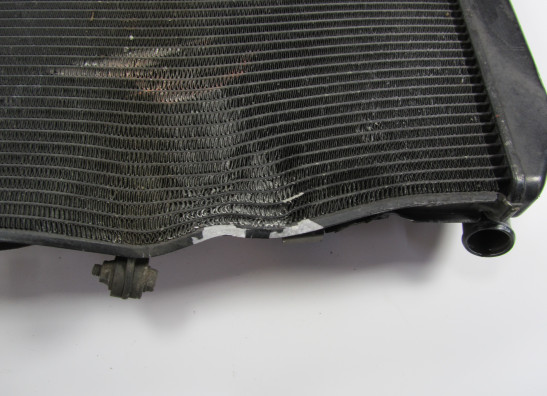 Kuhler Kawasaki Z 1000