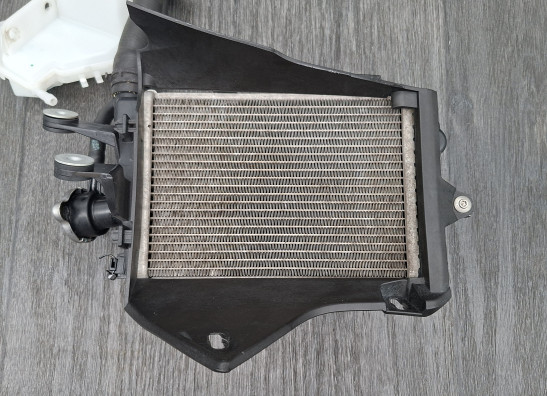 Radiateur BMW R 1250 GS