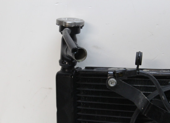 Radiateur Triumph Daytona 675 