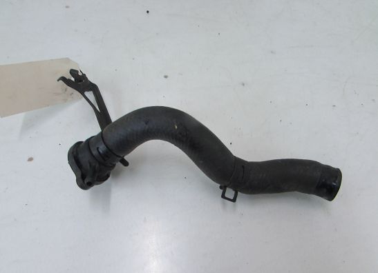 Kuhler Teile Yamaha YP 250 Majesty