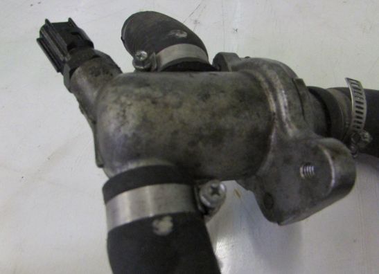 Thermostaat Suzuki SV 650