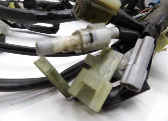 Kabelbaum Yamaha FZ6