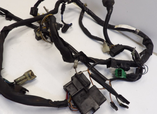 Wire Harness Suzuki VL 800