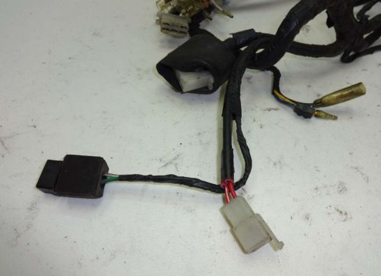 Kabelbaum Honda CBX 550 F2