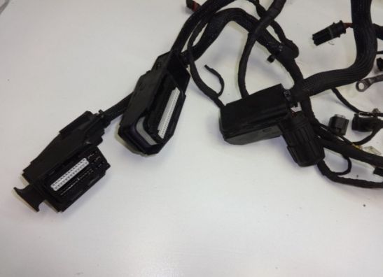 Wire Harness BMW F 800 S - ST