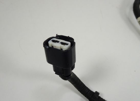 Kabelbaum Honda CBR 600 RR