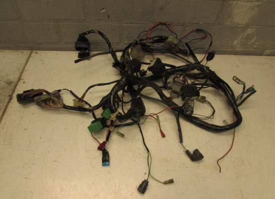 Wire Harness Honda Silverwing