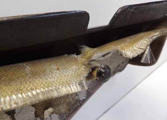 Rechter zijkuip klein Cagiva Elefant 900