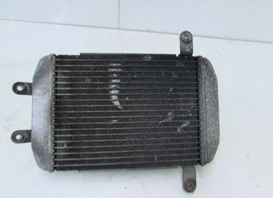 Kuhler Suzuki Burgman 400