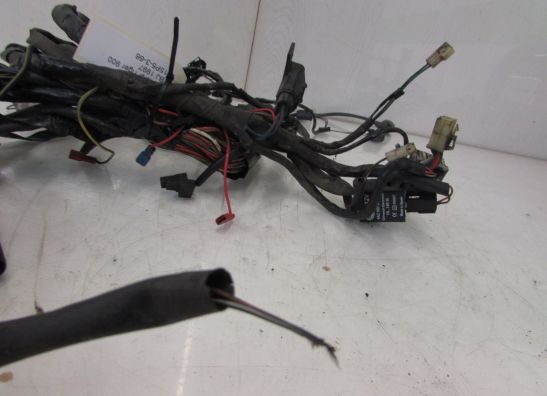 Wire Harness Triumph Tiger 900
