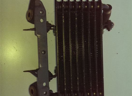 Olkuhler Aprilia Tuono 1000