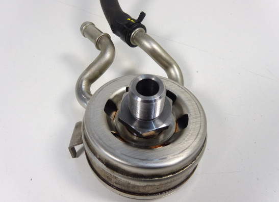 Motorblock Sonstiges Aprilia Tuono 660