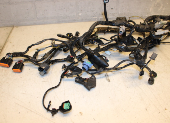 Kabelboom Kawasaki ER 6