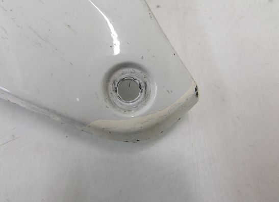 Tankschutz BMW S 1000 RR