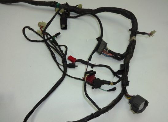 Wire Harness Kawasaki ZZR 1100