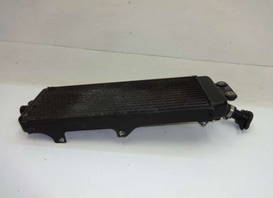 Kuhler Suzuki VX 800