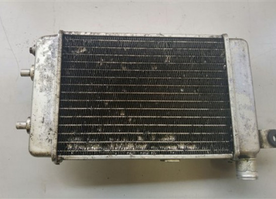 Radiator Aprilia RSV 1000