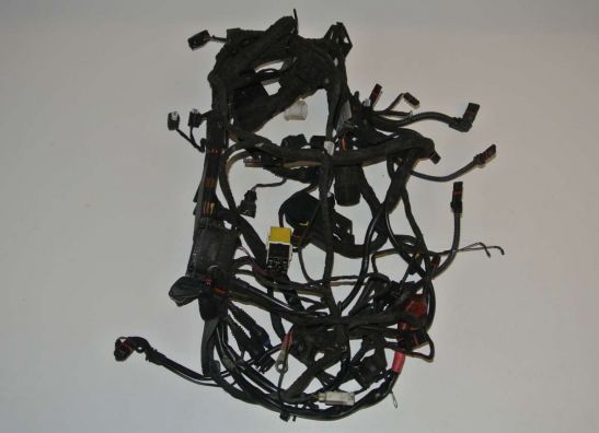 Wire Harness BMW R 1200 GS