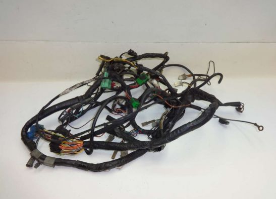 Wire Harness Suzuki RF 600