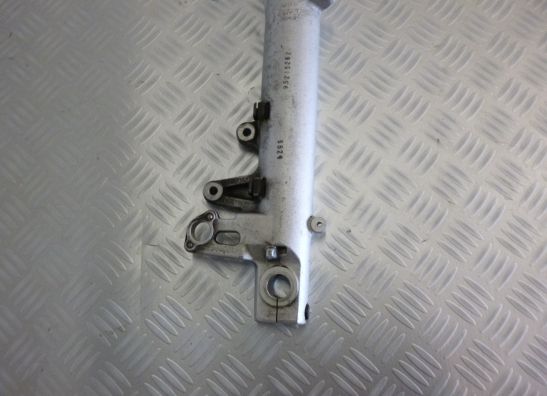 Voorpoot links compleet BMW R 1150 R