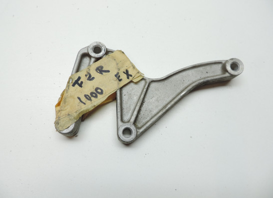 Lampenverkleidung Rahmen Yamaha FZR 1000