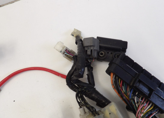 Kabelbaum Yamaha YZF R1