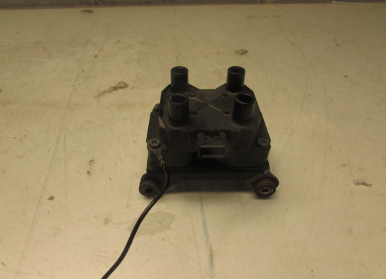 Bobine BMW K 1200 RS