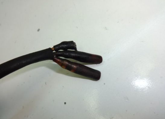 Dynamo Kawasaki Z 550 GT