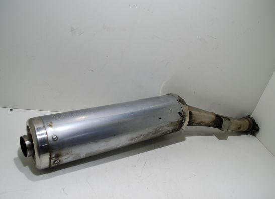 Auspuff Yamaha GTS 1000