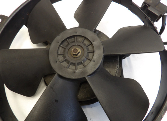 Fan Honda CBR 900 RR