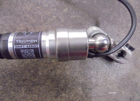 Schakelpedaal Triumph Tiger 900 Rally Pro