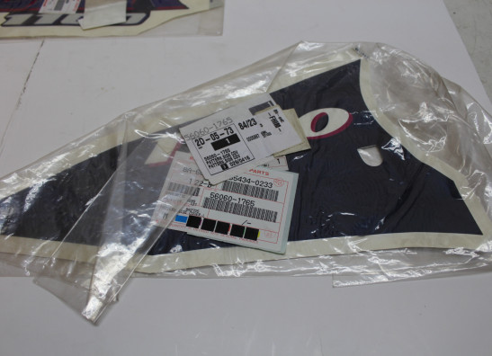 Sticker Kawasaki ZZR 1100