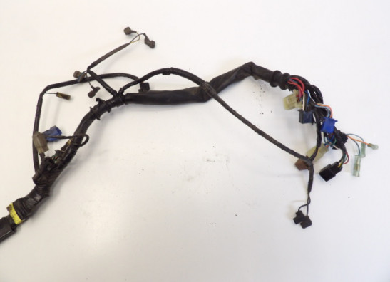 Kabelbaum Honda CBF 500