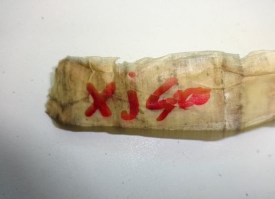 Schakelpedaal Yamaha Overige Yamaha