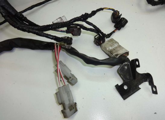 Kabelbaum Kawasaki ER 6