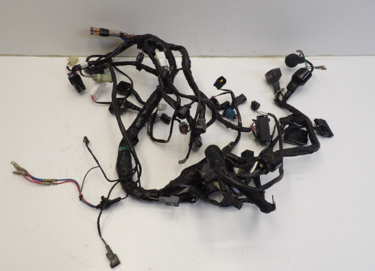 Wire Harness Kawasaki 650 Vulcan S