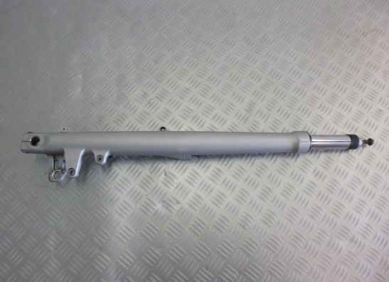 Voorpoot links compleet BMW R 1150 R