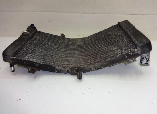 Radiator Suzuki GSX R 750