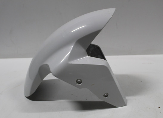 Kotflugel vorne BMW S 1000 RR