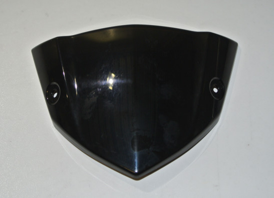 Windscherm Kawasaki Z 1000