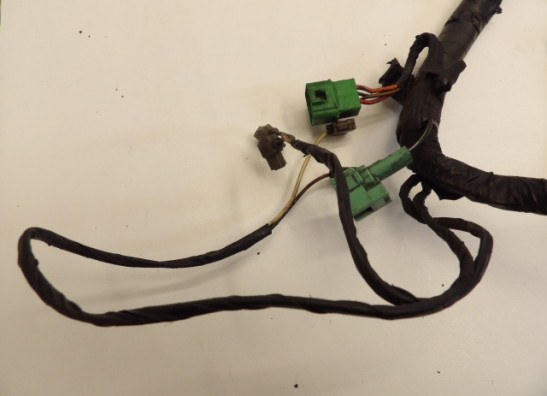 Wire Harness Suzuki GSX F 1100