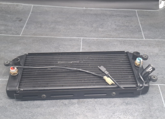 Radiator Suzuki VZ 800 marauder