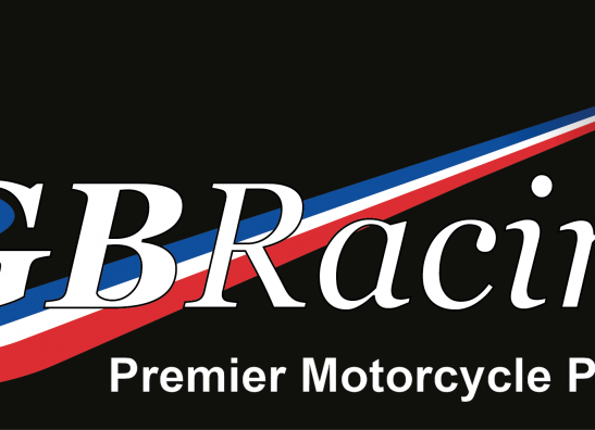 Engine cover Suzuki SV 650