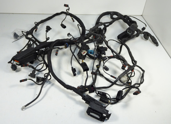 Kabelboom BMW K 1200 S 