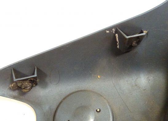 Linker zijkuip BMW R 1150 R