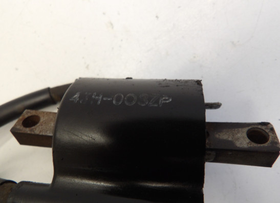 Bobine Yamaha FZR 600