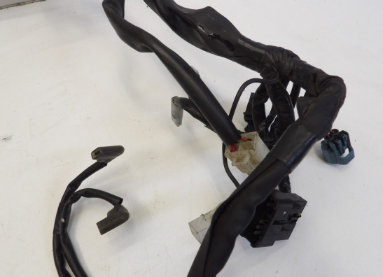 Kabelboom Yamaha FZ6