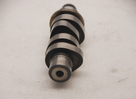 Nokkenas Harley Davidson Softtail